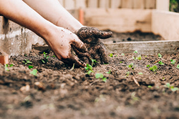 Person hält ihren unteren Rücken nach einem Tag im Garten