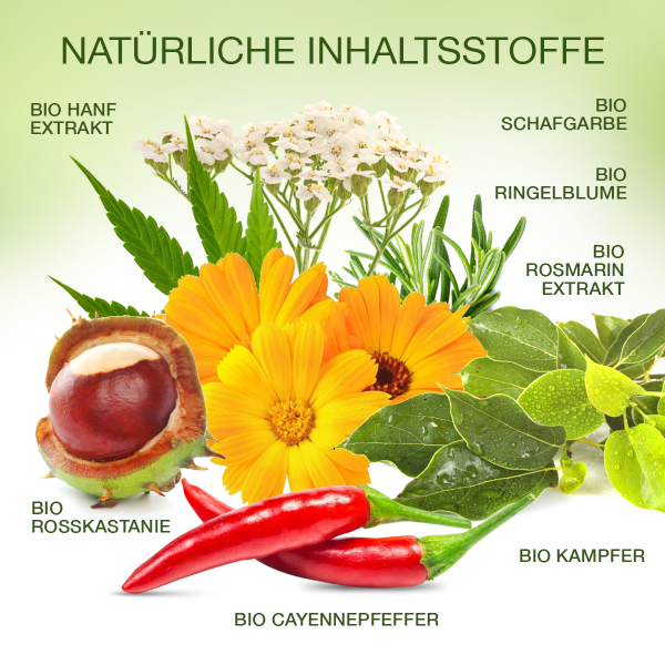Bio 𝐇𝐀𝐍𝐅 Pferdesalbe Extra Stark WÄRMENDER EFFEKT
