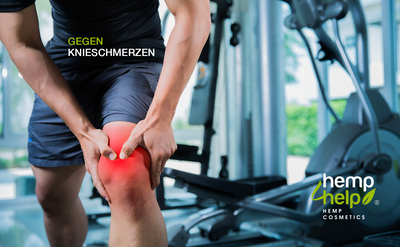 Hanf Rapid Active Gel 1er Pack bei Knie, Gelenk-, Nacken- u. Muskel-Schmerzen, Arthrose, Rheuma 200ml